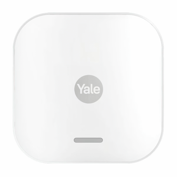 ad091d260fa7510dbdbd5f437f728da8 1.png